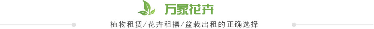 2024新奥资料1688原网